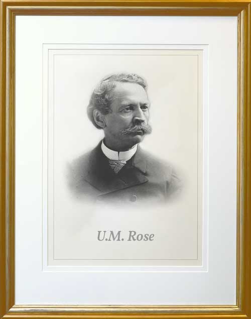 U.M Rose Picture